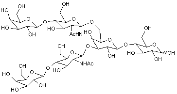 Lacto-N-neohexaose
