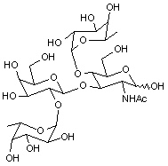 Lewis B tetrasaccharide