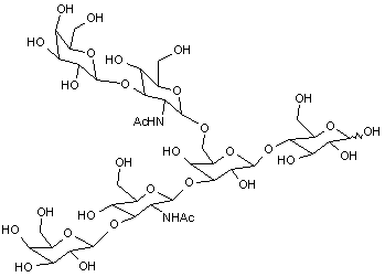Lacto-N-hexaose