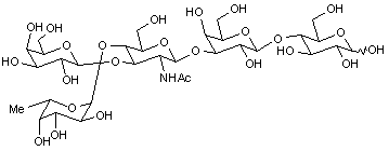 Lacto-N-fucopentaose II