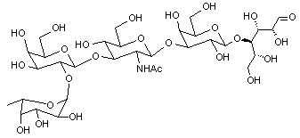 Lacto-N-fucopentaose I