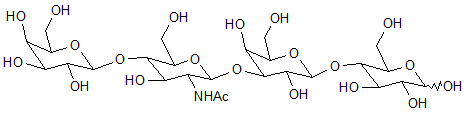 Lacto-N-neotetraose