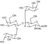 Lewis Y tetrasaccharide