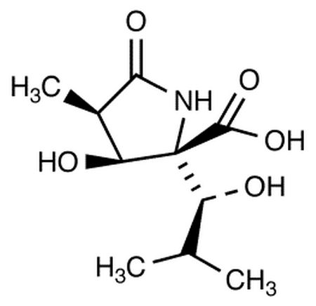 (3R,4S,5R)-4-Hydroxy-5-[(1S)-1-hydroxy-2-methylpropyl]-3-methyl-2-pyrrolidinone-5-carboxylic Acid