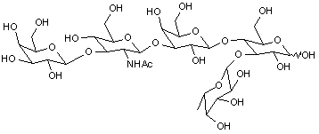 Lacto-N-fucopentaose V