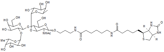 Lewis Y tetrasaccharide-sp-biotin