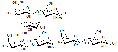 Monofucosyllacto-N-hexaose III