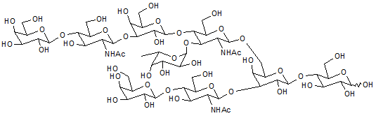 Monofucosyl (1-3)-iso-lacto-N-octaose (MFiLNO (1-3))