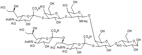 GT1b-Oligosaccharide