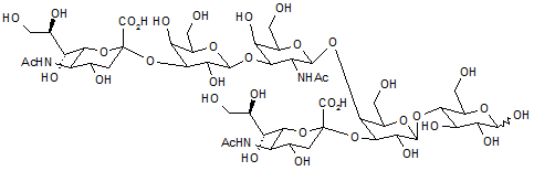 GD1a-Oligosaccharide