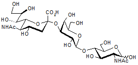 3’-Sialyl-N-acetyllactosamine