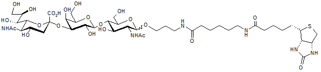 3’-α-Sialyl-N-acetyllactosamine-sp-biotin