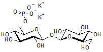 Trehalose-6-phosphate dipotassium salt