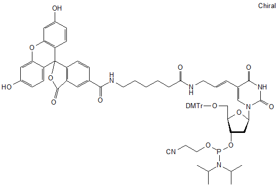 6-Fluorescein dT phosphoramidite