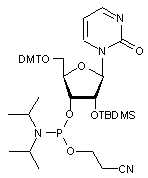 Zebularine 3’-CE phosphoramidite