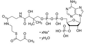 Acetoacetyl coenzyme A sodium salt hydrate