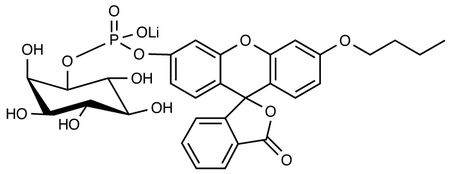 D,L-myo-Inositol-1-(n-butylfluoresceinylphosphate), lithium salt