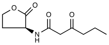 N-(Ketocaproyl)-L-homoserine Lactone