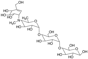 N-Methyl Acarbose