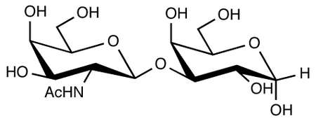 Methyl 3-O-(2-Acetamido-2-deoxy-β-D-galactopyranosyl)- α-D-galactopyranoside