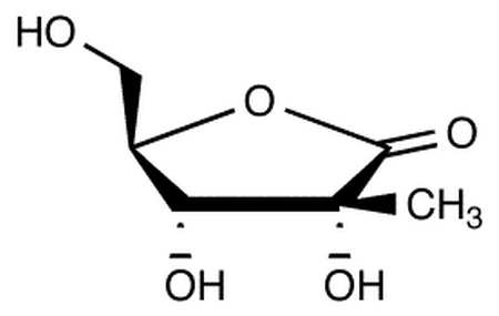 2-C-Methyl-D-ribonic-1,4-lactone