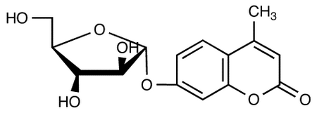 4-Methylumbelliferyl α-L-Arabinosfuranoside