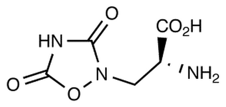 (+)-Quisqualic Acid