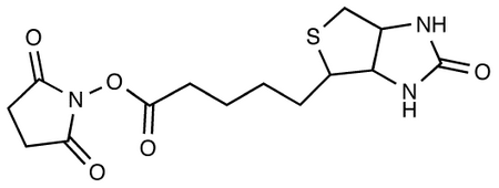 N-Succinimido-(+)-biotin
