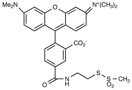 2-((5(6)-Tetramethylrhodamine)carboxylamino)ethyl Methanethiosulfonate
