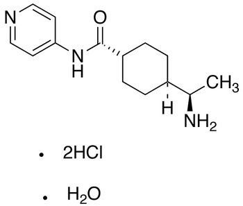 Y-27632 Dihydrochloride Hydrate