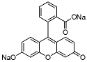 Fluorescein Sodium