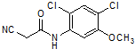 2-Cyano-N-(2,4dichloro-5-methoxyphenyl)acetamide