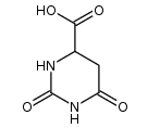 DIHYDRO-L-OROTIC ACID