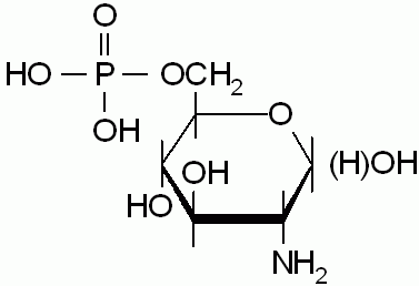 D-Glucosamine 6-phosphate