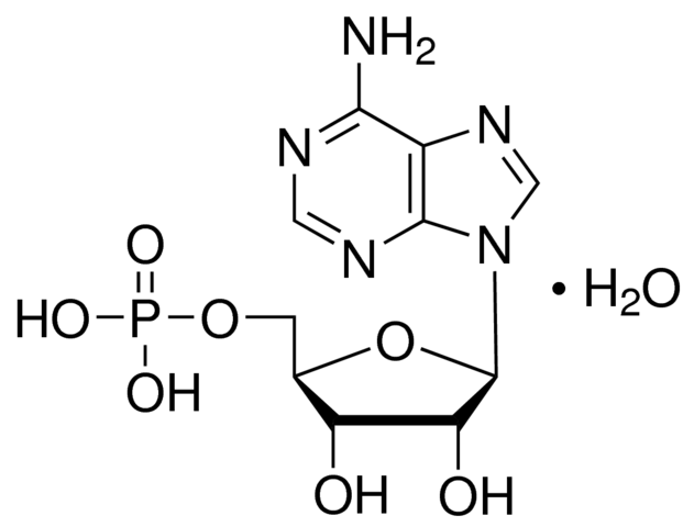 Adenosine 5’-monophosphate monohydrate