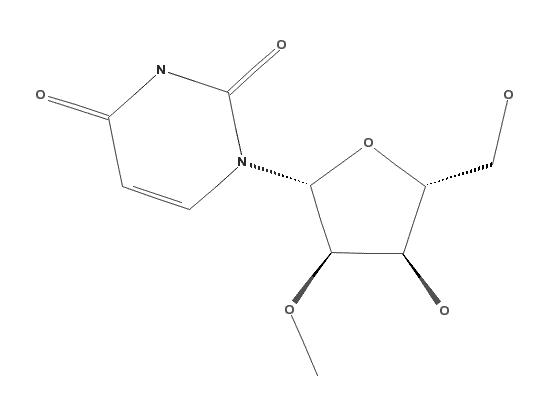 2’-O-Methyl-uridine