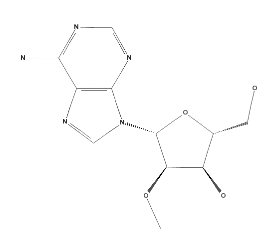 2’-O-Methyl-adenosine