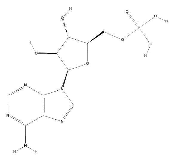 9-β-D-Arabinofuranosyl-adenine-5’-monophosphate