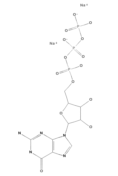 Guanosine-5’- triphosphate, Disodium salt