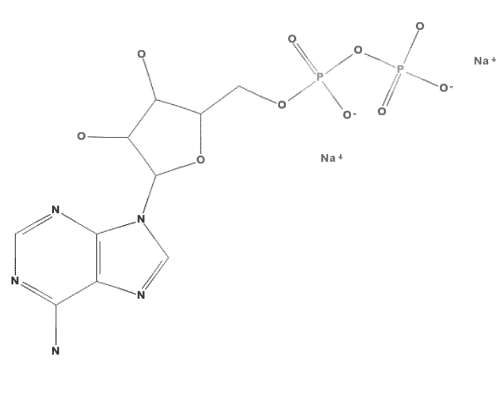 Adenosine-5’-diphosphate disodium salt