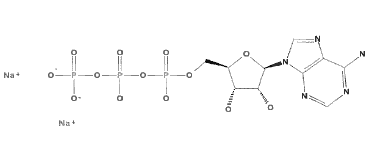 Adenosine-5’-triphosphate disodium salt hydrate