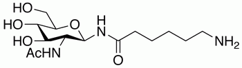 2-Acetamido-N-(e-aminocaproyl)-2-deoxy-β-D-glucopyranosylamine