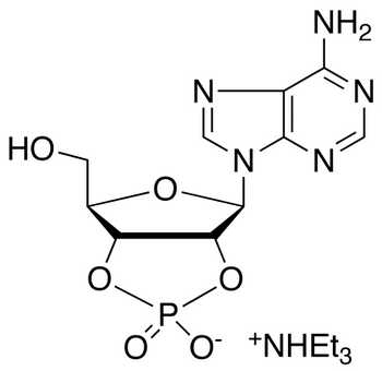 Adenosine 2’,3’-Cyclic Phosphate Triethylammonium Salt