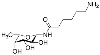 N-(ε-Aminocaproyl)-β-L-fucopyranosylamine