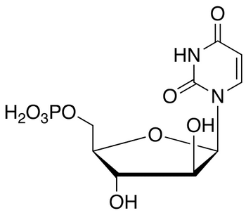 1-β-D-Arabinofuranosyluracil 5’-Monophosphate