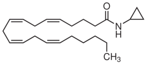 Arachidonylcyclopropylamide