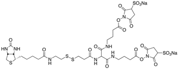 6-[2-Biotinylamidoethyl]-dithiopropionamido]-5,9-diaza-6,8-diketotridecanoic Acid Bis-N-sulfosuccinimidyl Ester Disodium Salt