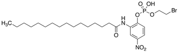2’-(β-Bromoethylphosphoryl)-5’-nitrohexadecananilide