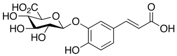 Caffeic Acid 3-β-D-Glucuronide