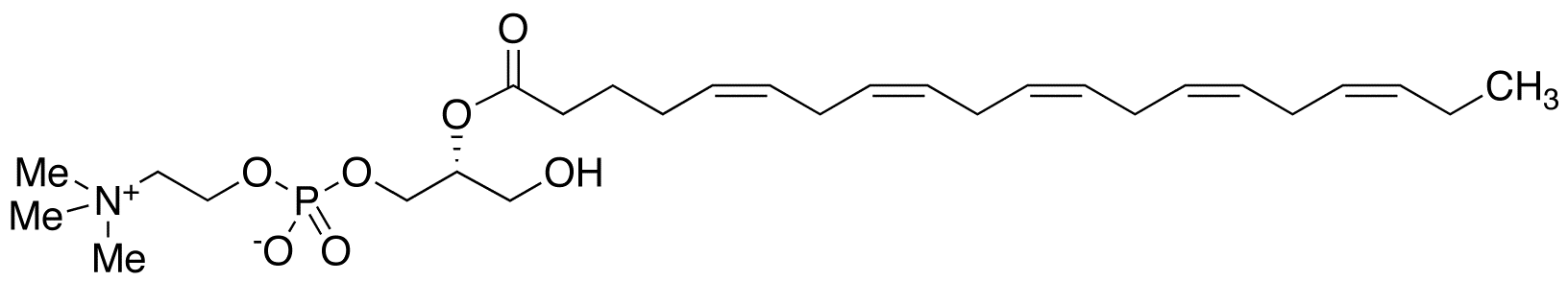 2-Eicosapentaenoyl-sn-glycerol-3-phosphocholine